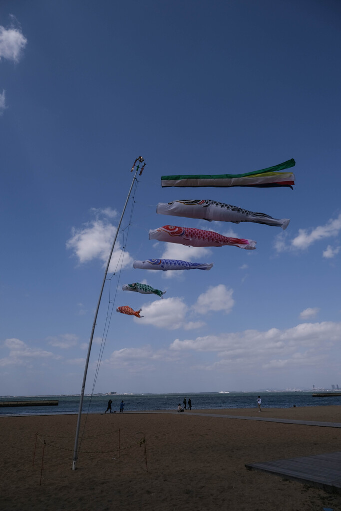 砂浜の鯉のぼり