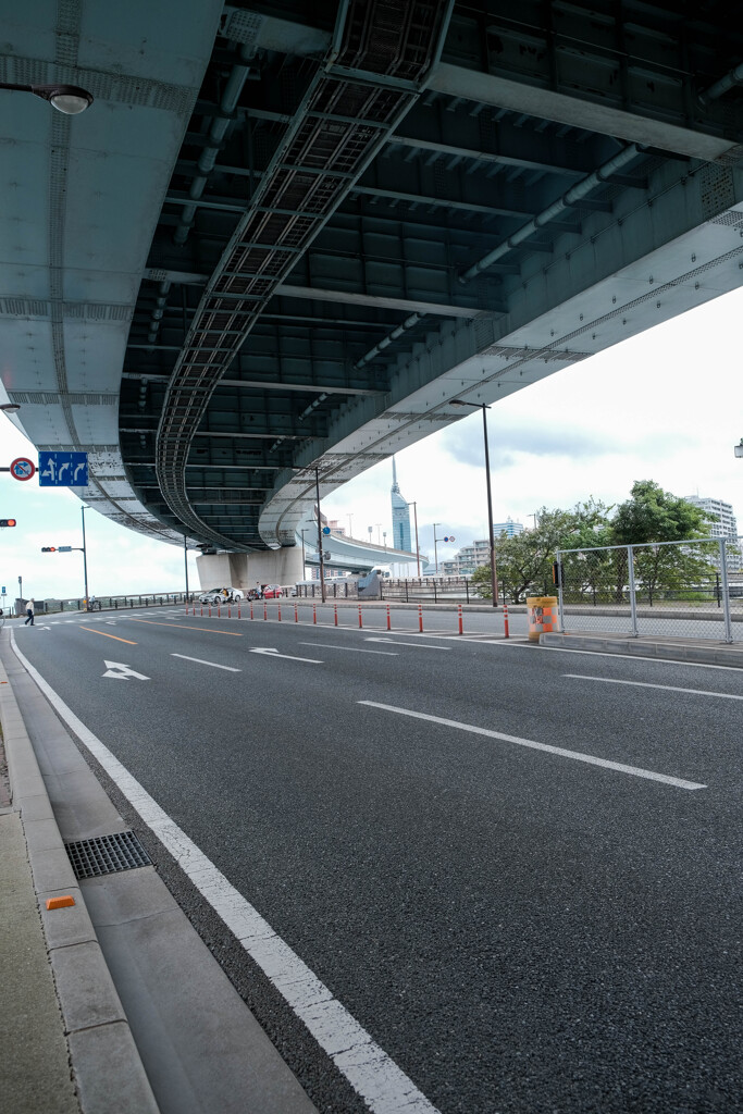 車で散歩コースへ