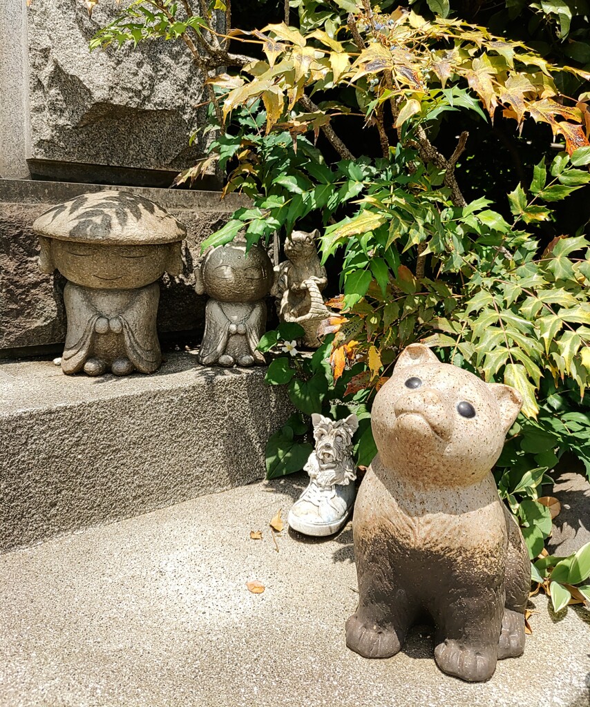 [ｵｳﾞｼﾞｪ]
