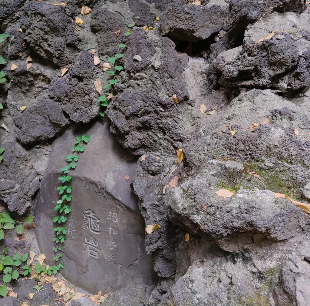 [亀岩]