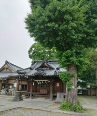 [神社]八幡