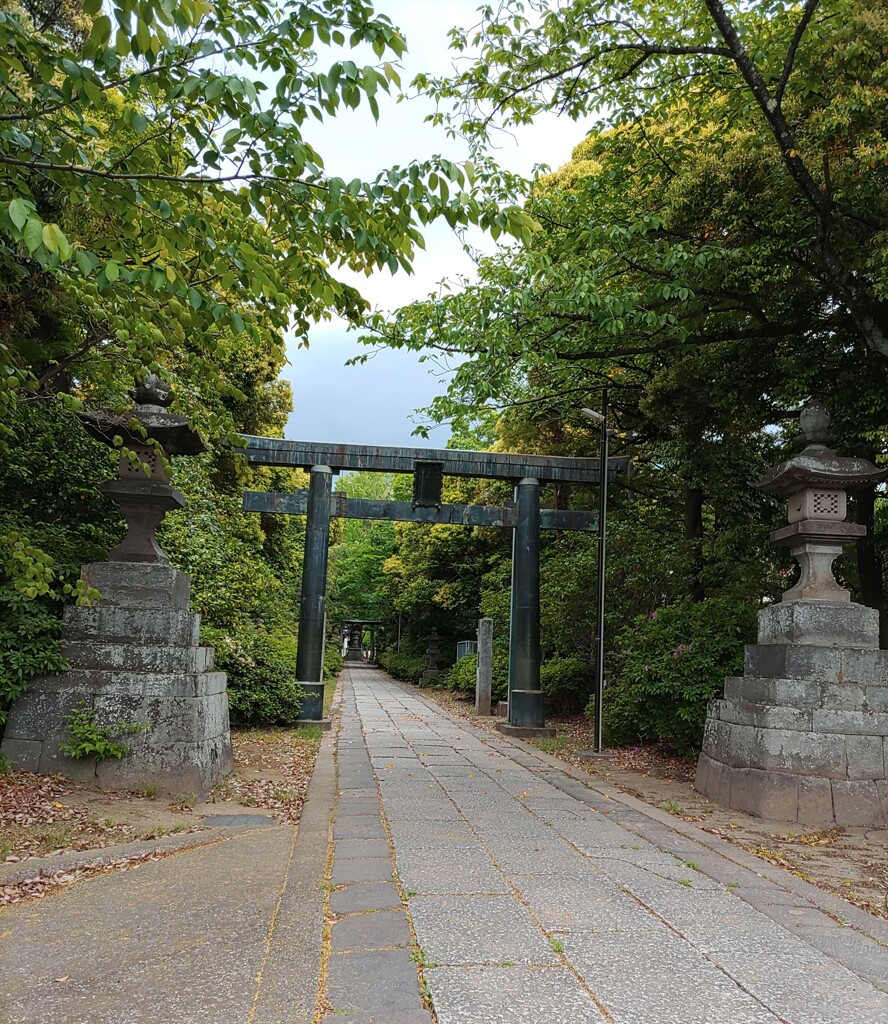 [八幡神社]
