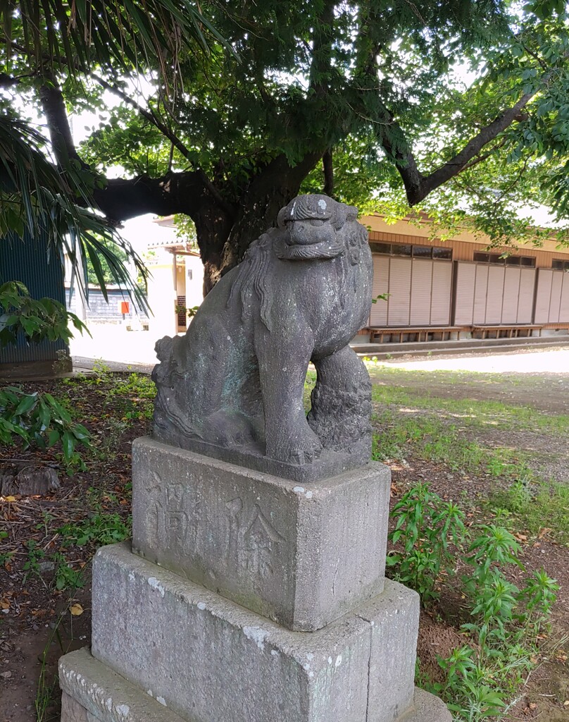 [狛犬]左