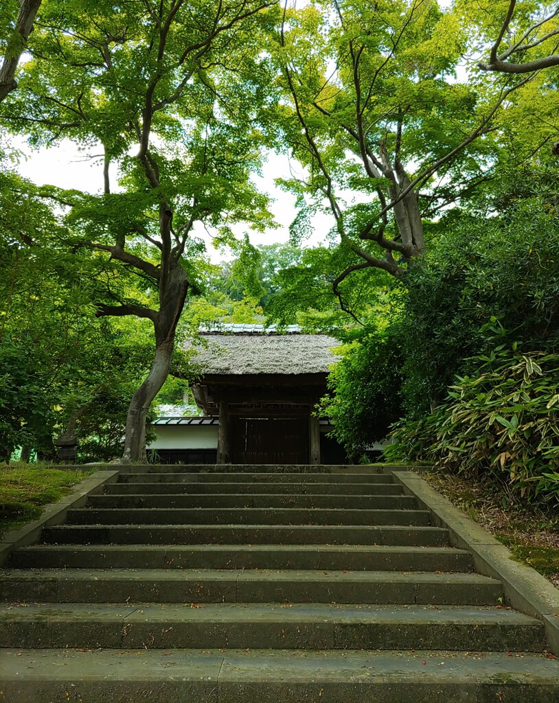 [通]