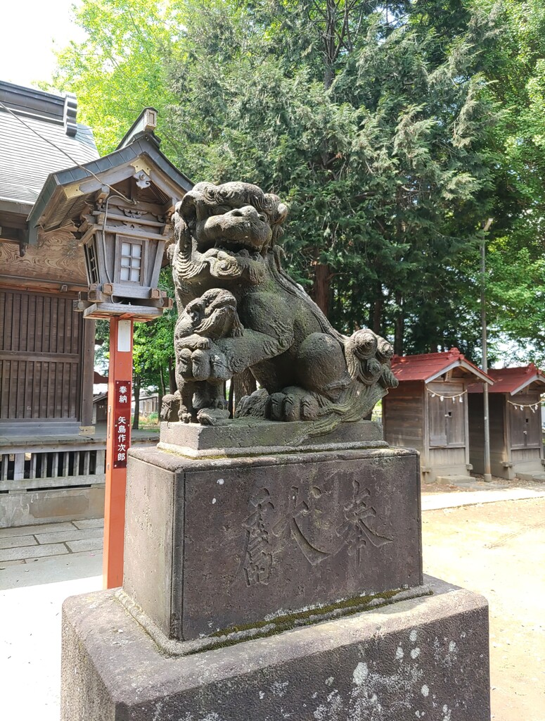 [狛犬]右