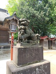 [狛犬]右