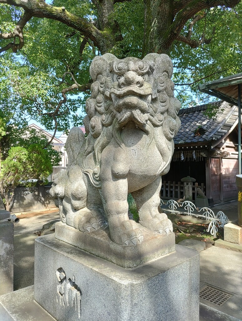 [狛犬]左