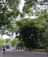 [明治神宮]