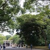 [明治神宮]