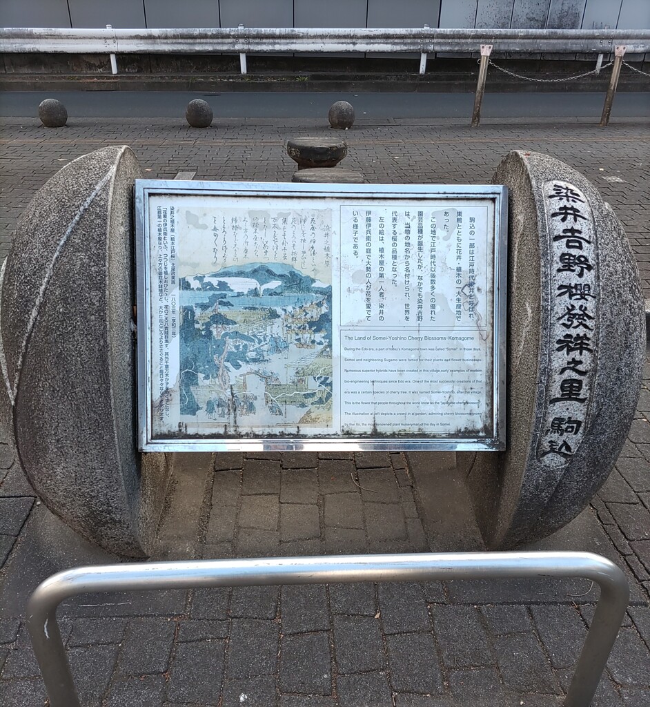 [版]