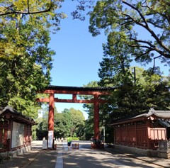 [神社]氷川