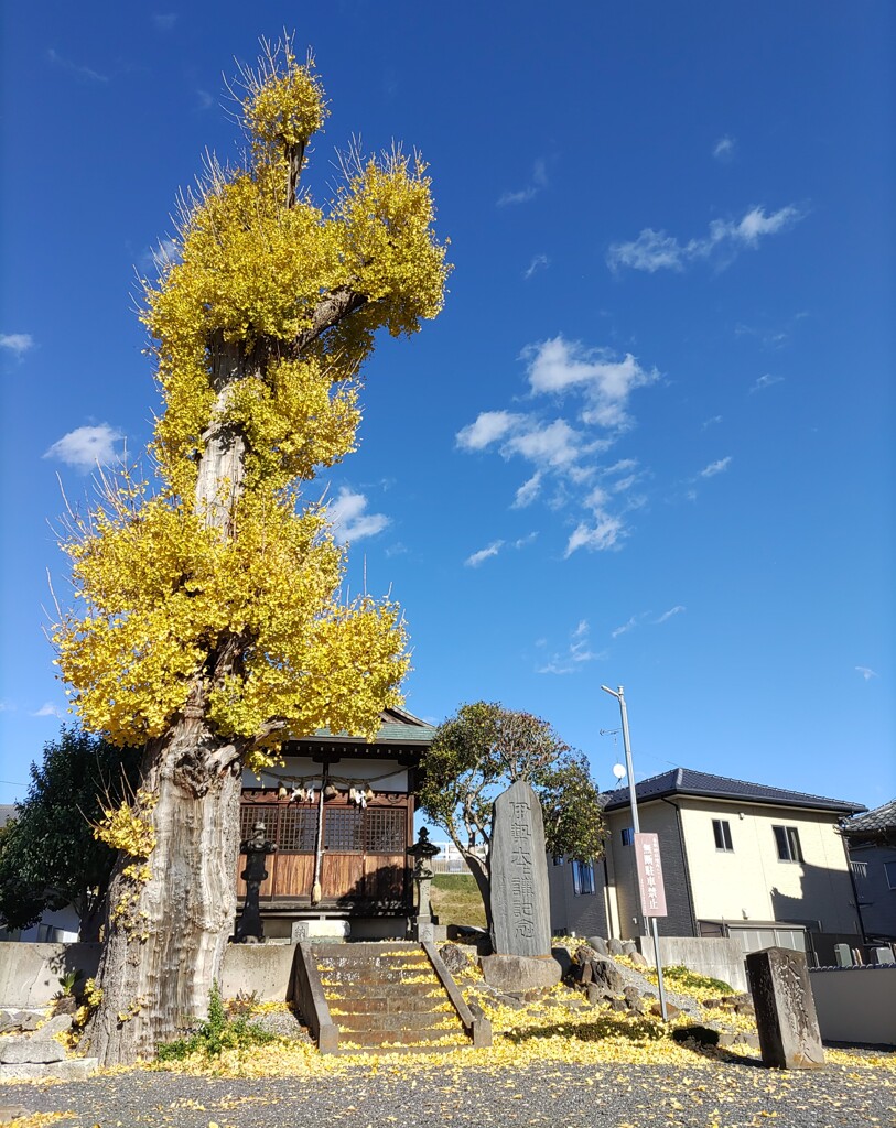 [神社]香取