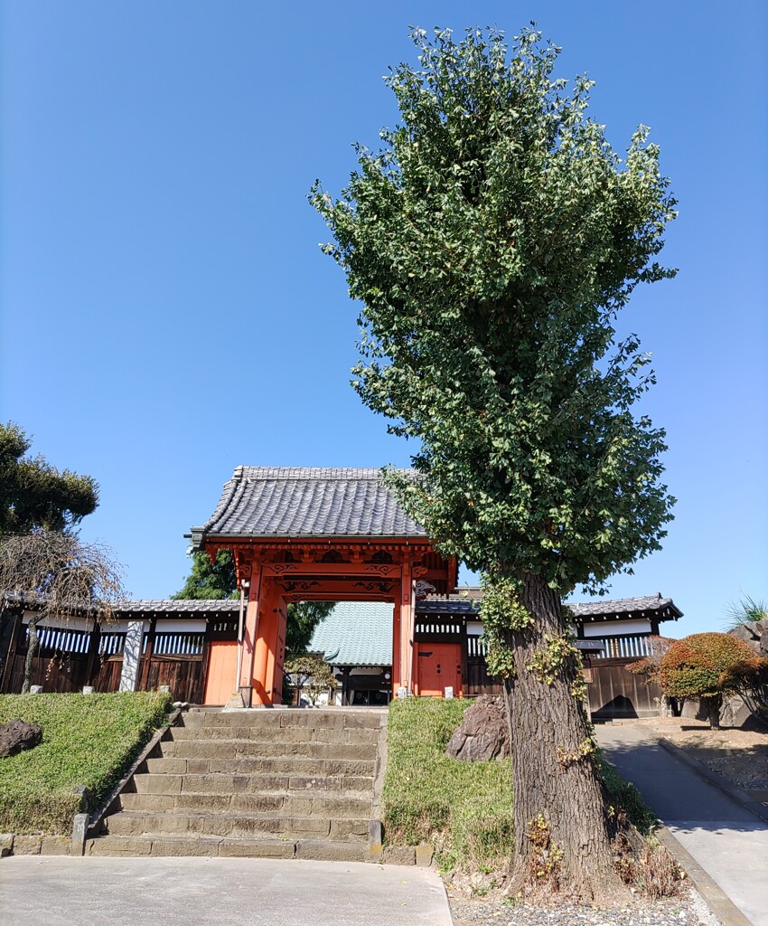 【建】通