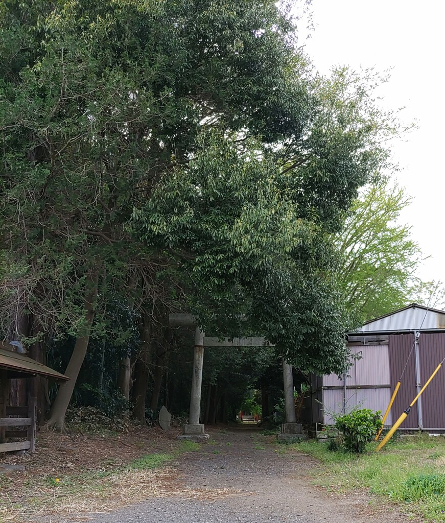 [久伊豆神社]