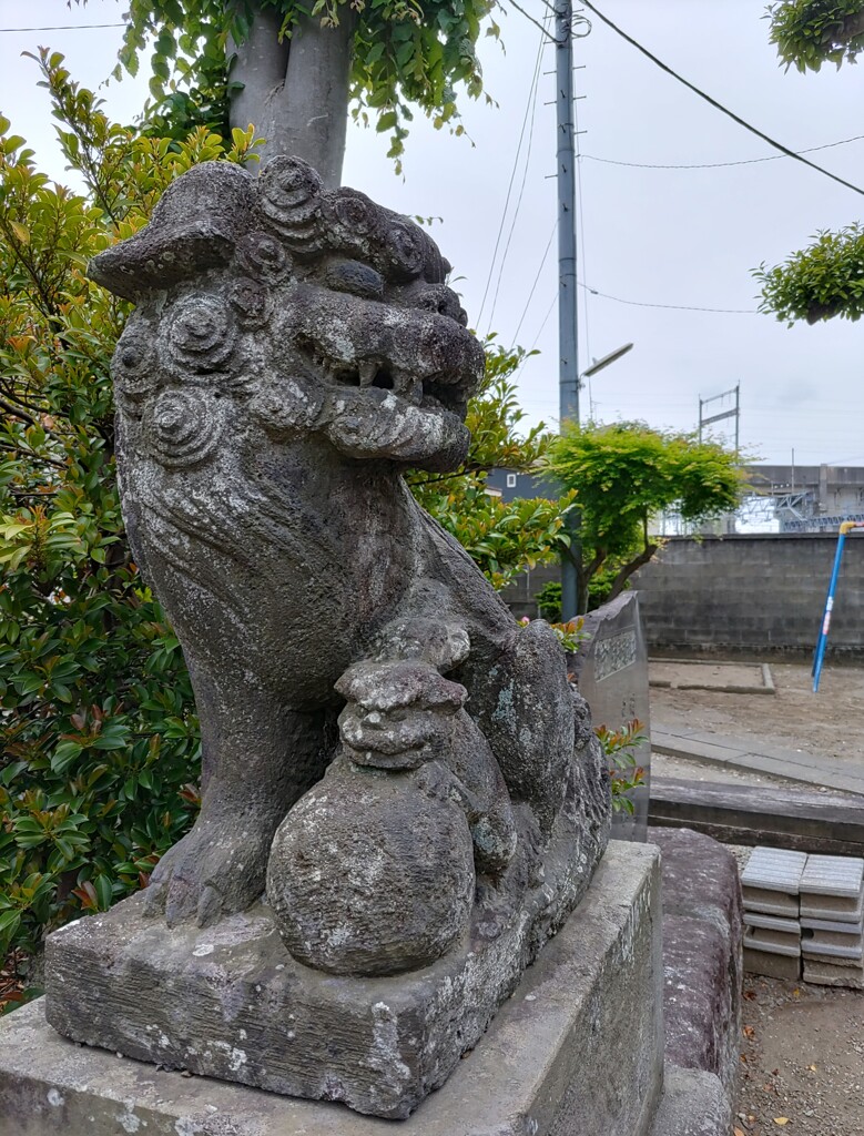 [狛犬]右