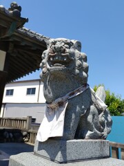 [狛犬]右