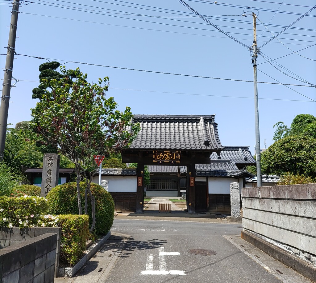 【建】通