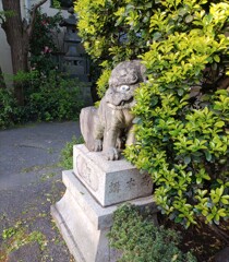 [狛犬]左