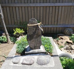 [柏神社]