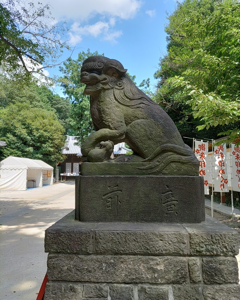 [狛犬]右
