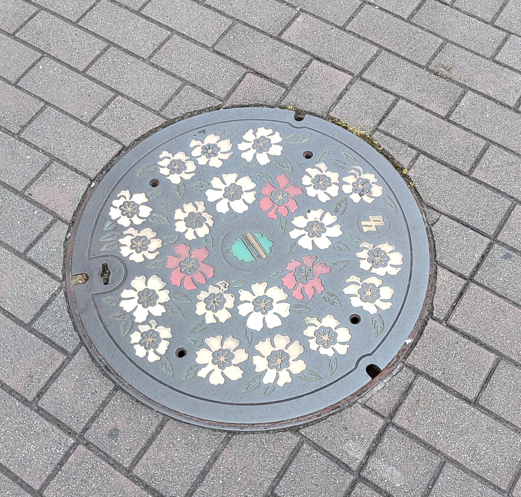 [ﾏﾝﾎｰﾙ]