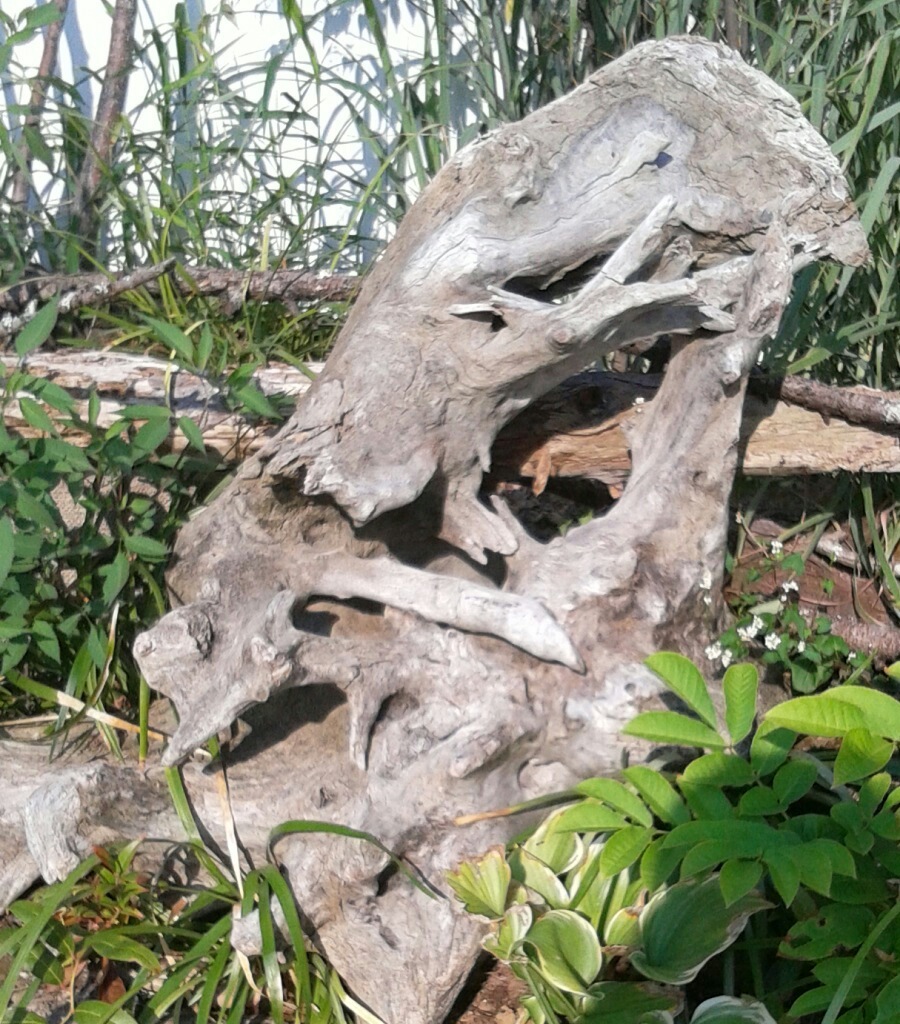 [ｵｳﾞｼﾞｪ]