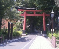 [氷川神社]