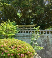 [菅原神社]
