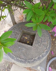 [手水]銭