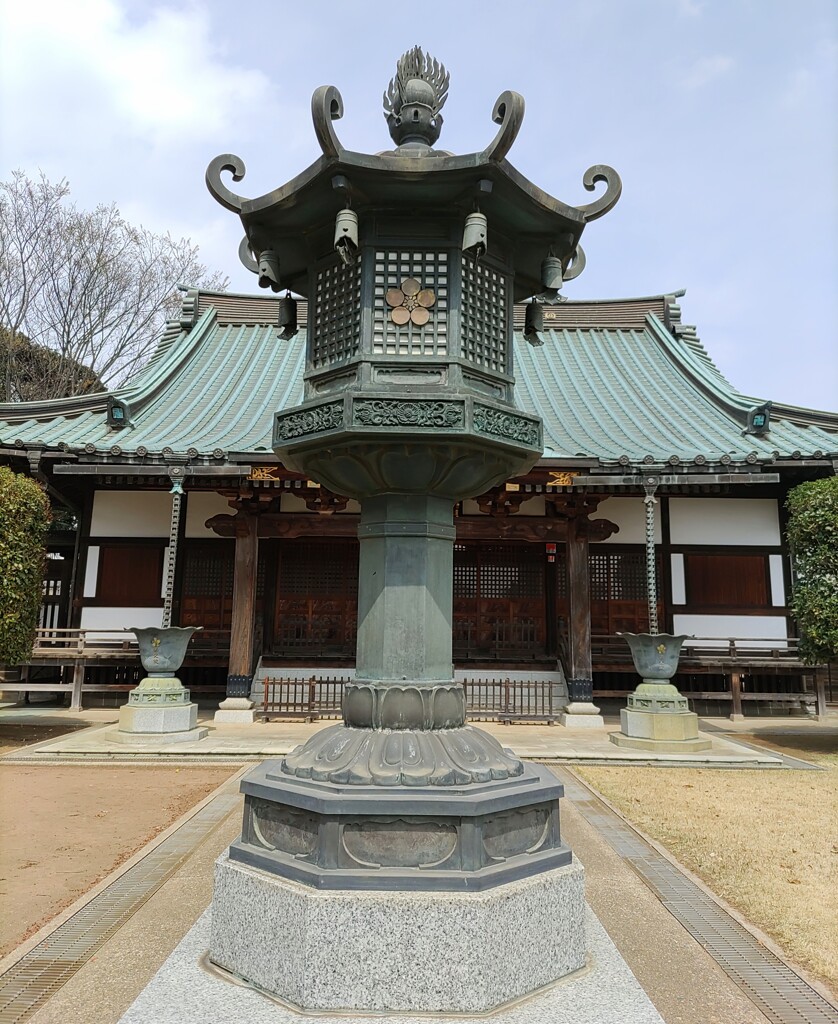 [金灯籠]