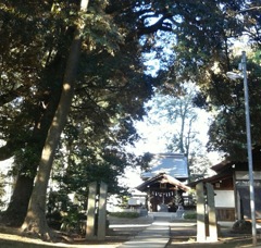『氷川神社』