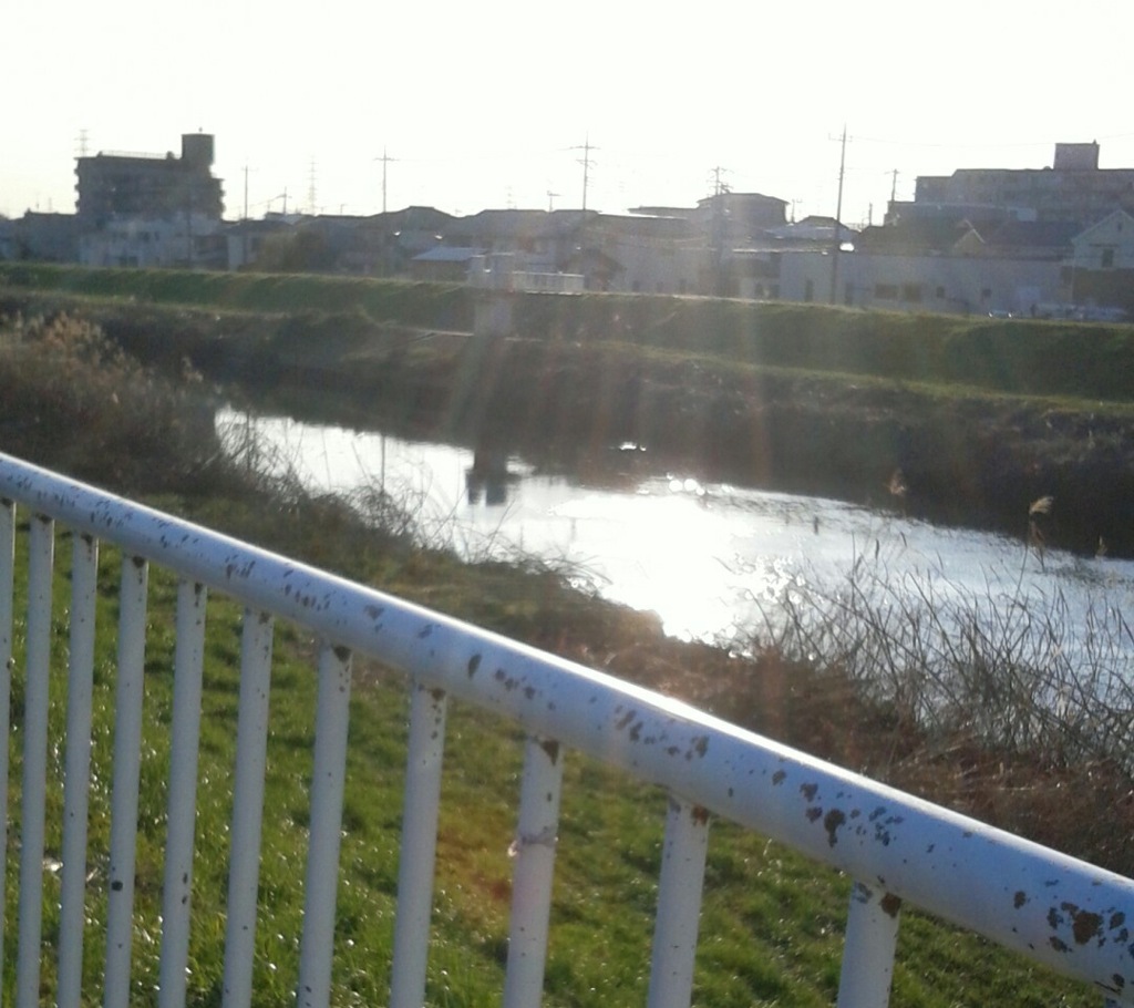 ｢芝川｣