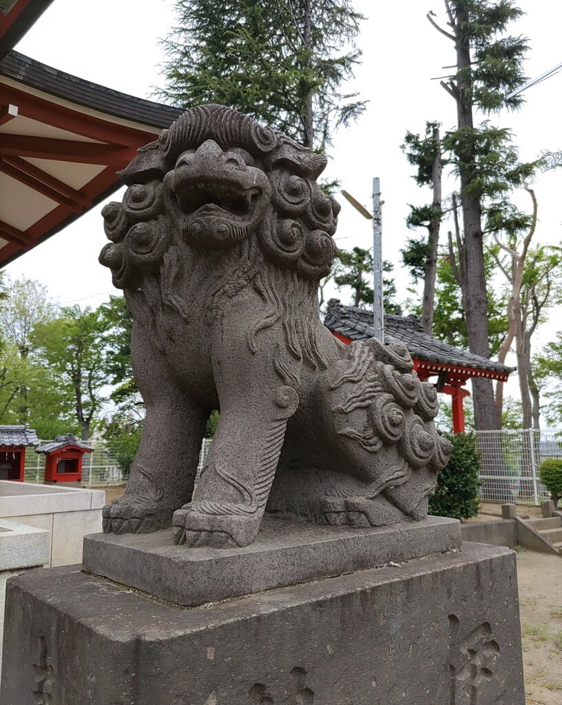 [狛犬]右