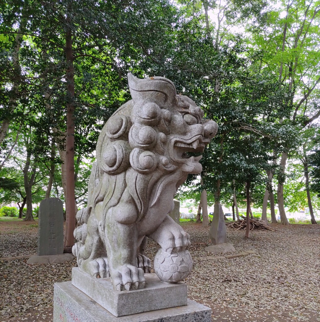 [狛犬]右