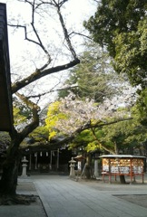 [川口神社]