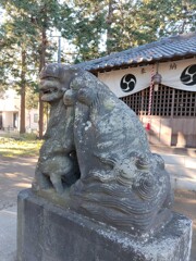 [狛犬]右