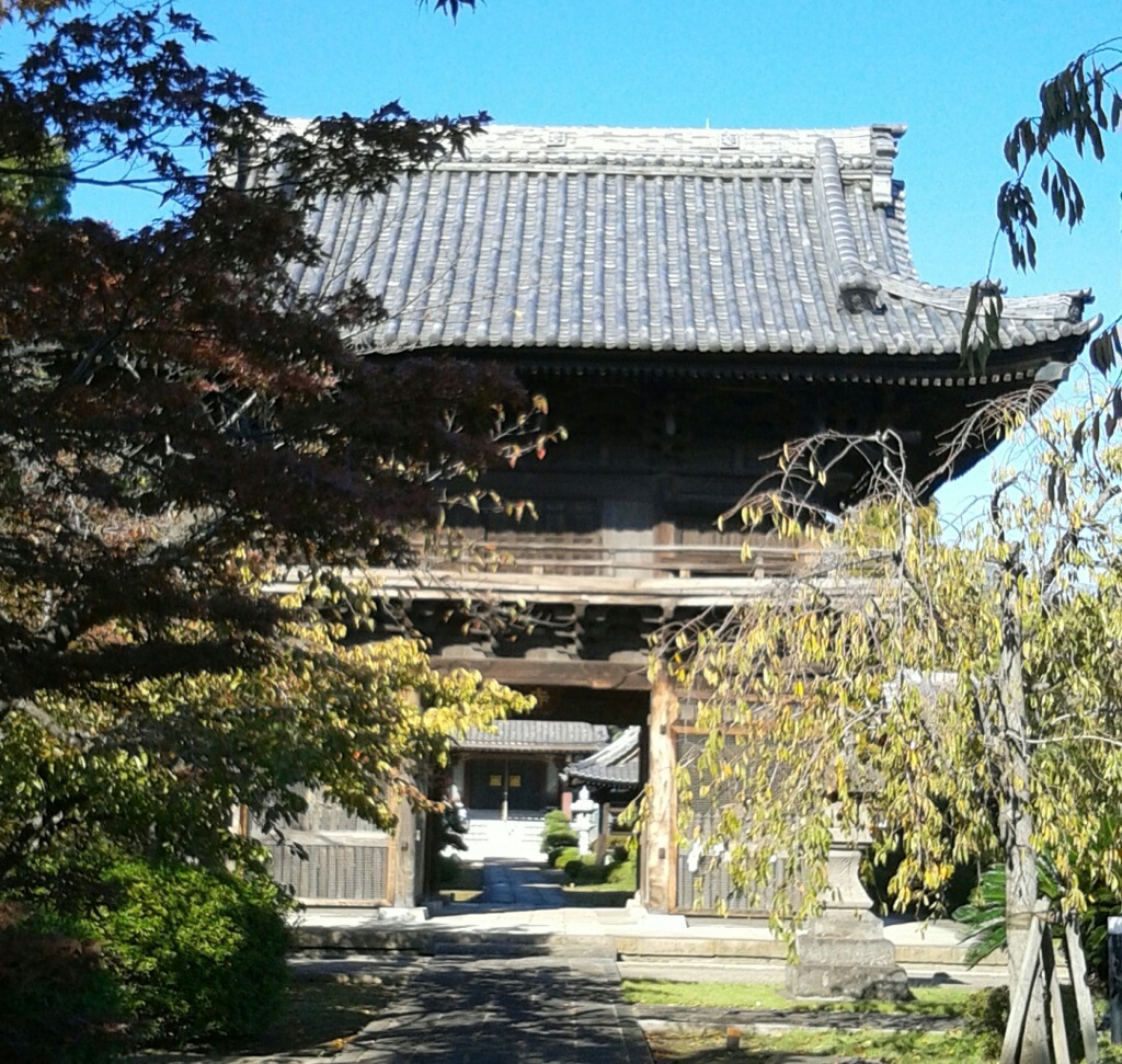 通[寺門]