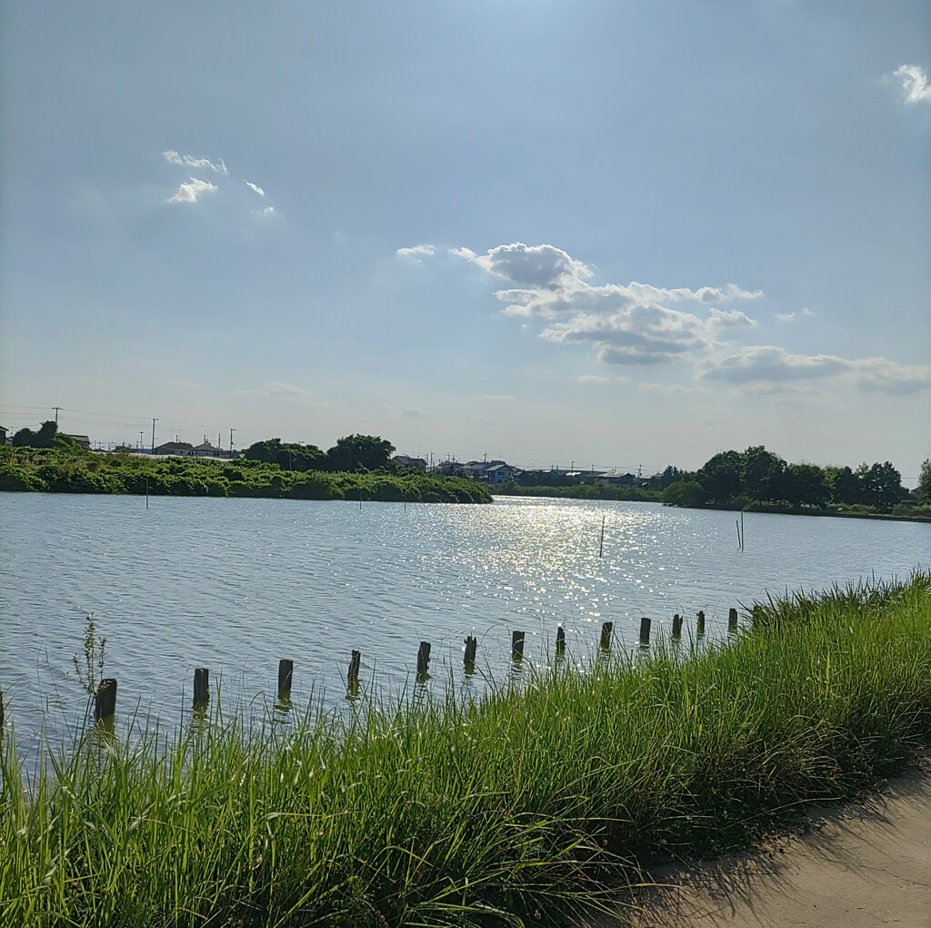 『沼』