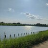 『沼』
