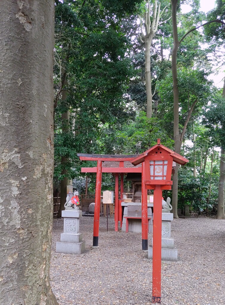 [神社]稲荷