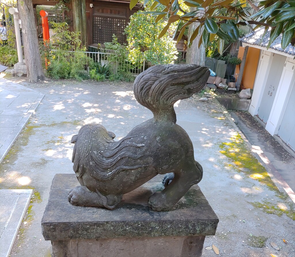 [狛犬]後