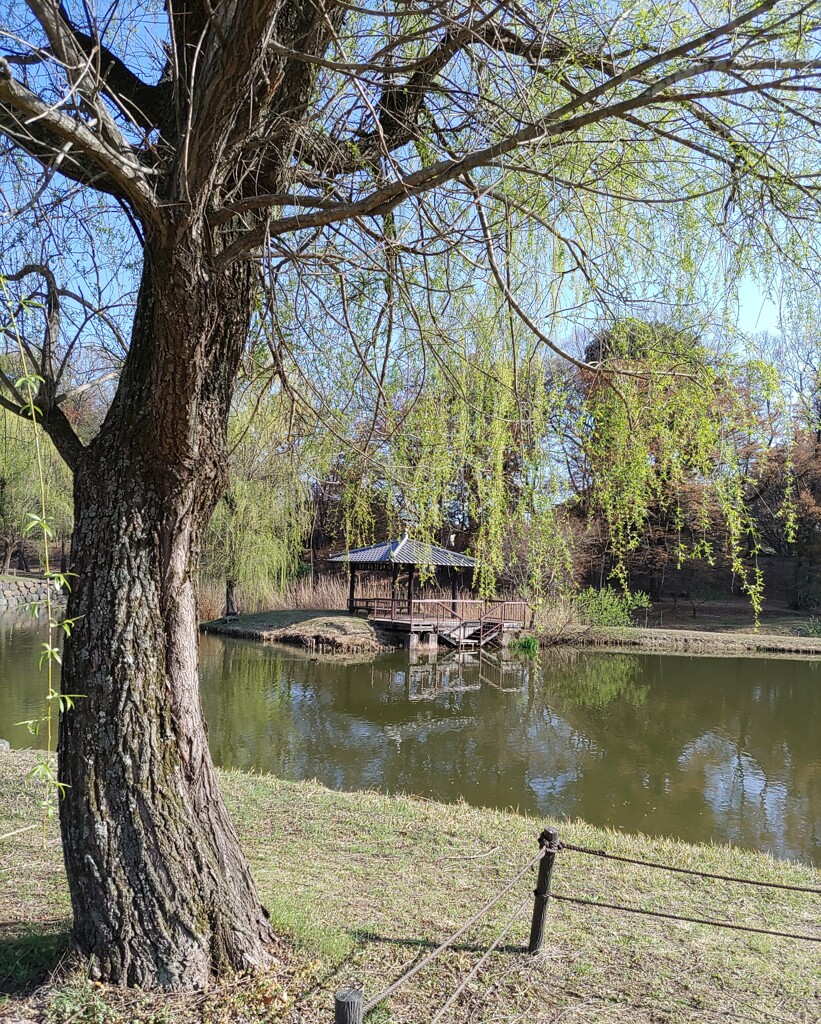 【休】あずまや