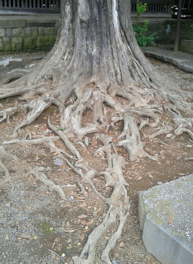 「木」