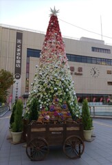 【街中】ｸﾘｽﾏｽﾂﾘｰ