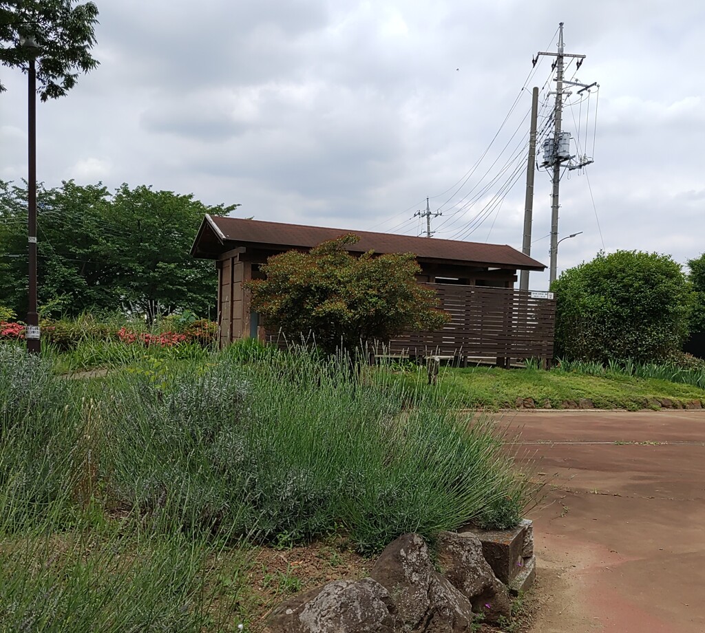 【街中】ﾄｲﾚ