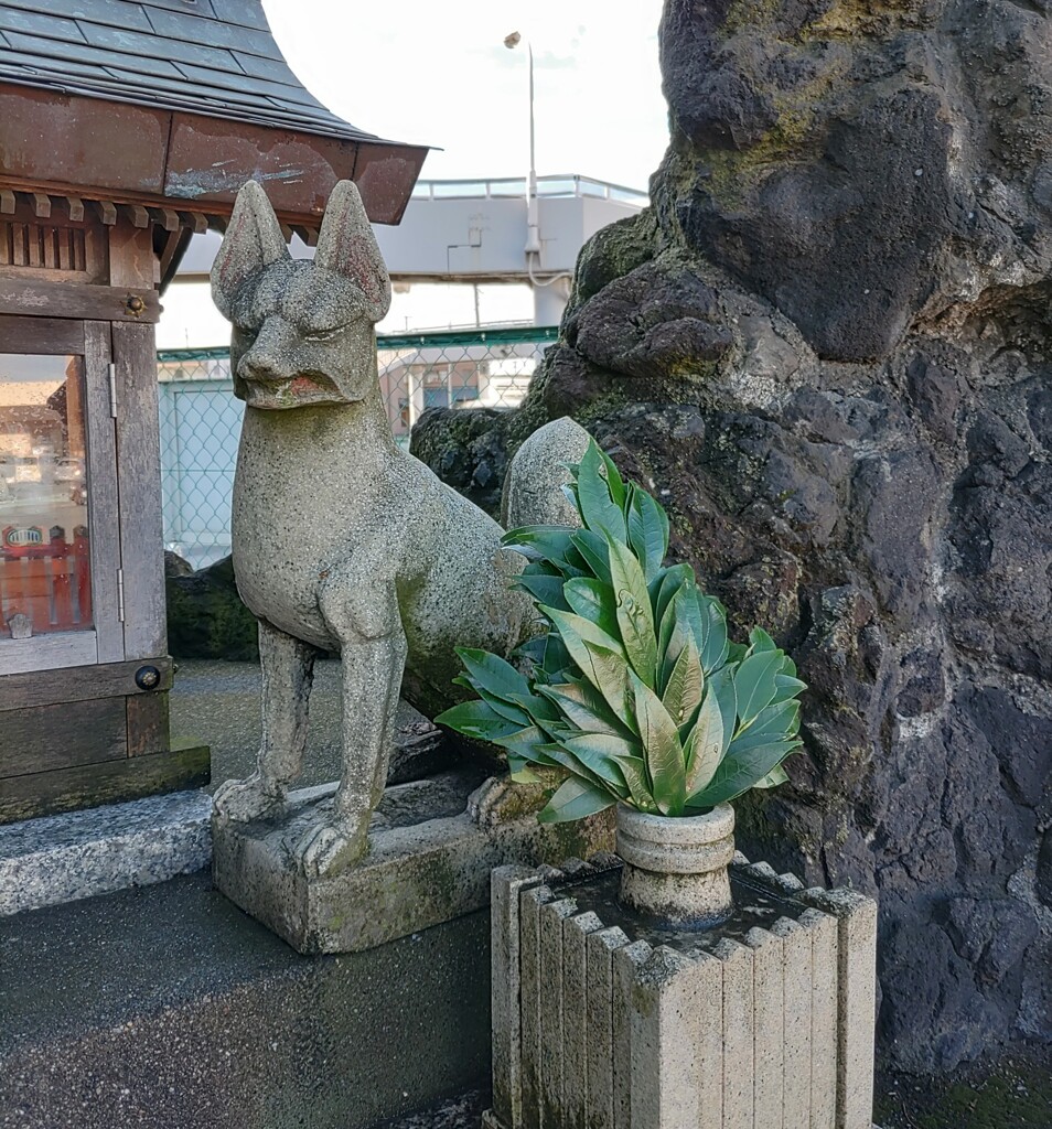 [神使]狐