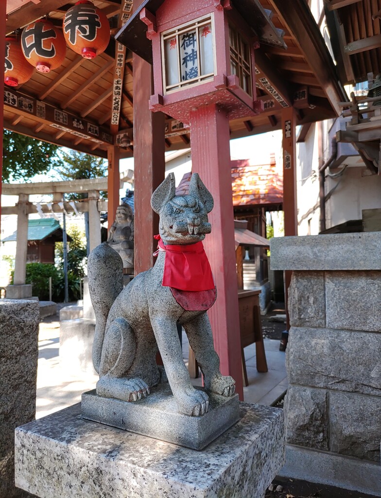 [神使]狐