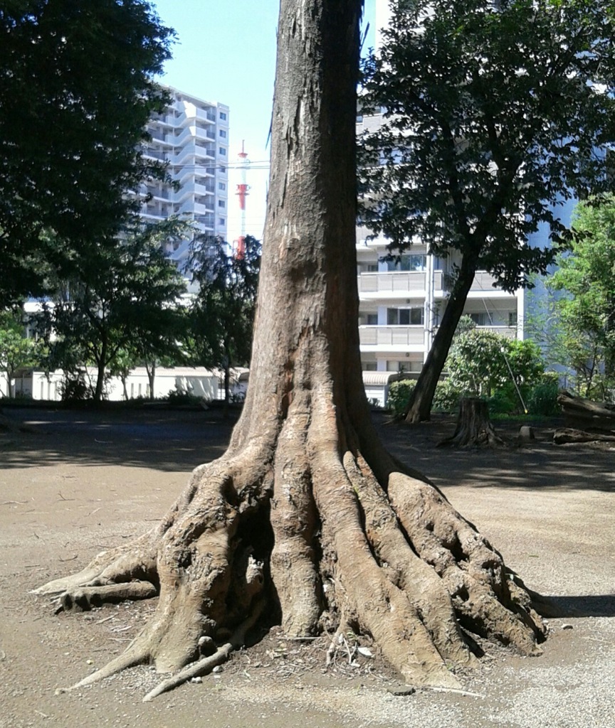 「木」