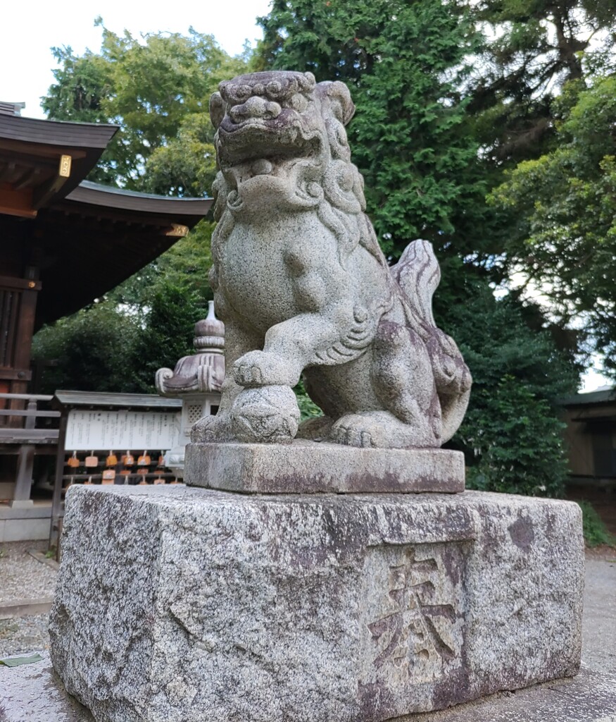 [狛犬]右