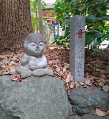 [ｵｳﾞｼﾞｪ]